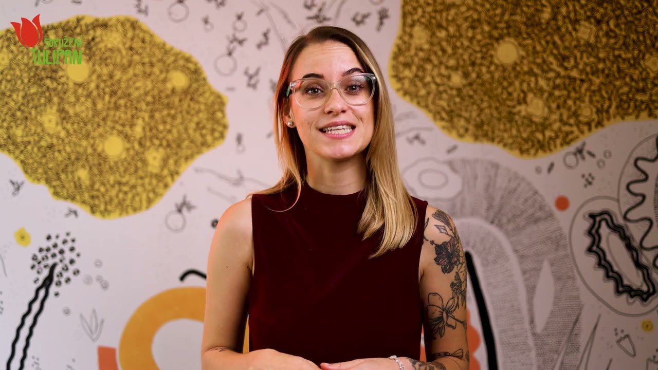 Sdružení TULIPAN
